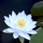id:TakahashiHiromi