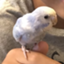 id:TetoRumi