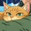 id:Townmemory
