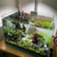 id:Tronrium