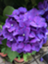 id:USGkaduharu84