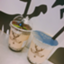 id:UjisanTea