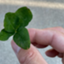 id:Ukiaki-blog