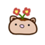 id:Umiblog