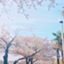 id:YOSHIO440