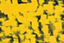 id:Yellow-F-Star