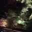 id:Yueri