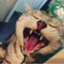 id:ZiguZagu