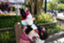 id:a-cr-x11xx