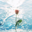 id:a11kty