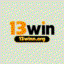a13winnorg