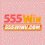 a555winvcom