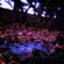 id:aau_square