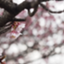 id:about_kasd