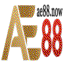 ae88now