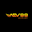aev99-bot