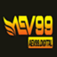 aev99digital