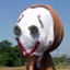 id:agriordead