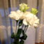 id:ahiru0126