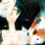 id:akazawa-kiyo