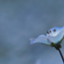 id:akiduki1001