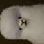 id:alpacako
