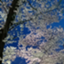 id:ame-nochi-hare