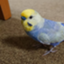 id:amenochihareruya