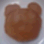 pakirapakira20