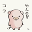 id:anocaster