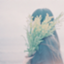 id:ao_6