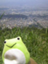 id:aogaeru72