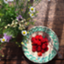 id:aomiroku