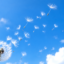 id:aozora-watage