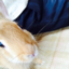 id:ap_lib