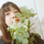 id:apricotberry