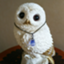 id:aquablue1976