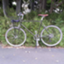 id:arakawa3pokun