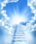 id:arch-act-report-sugawa