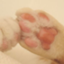 id:asuka_repro