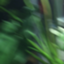 id:attakaudon