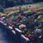 id:aya_shimomata