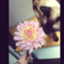 id:ayasiam