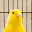 id:ban_unoff_jp