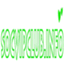 Bayvip Mobi
