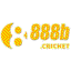 bcricket888
