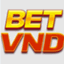 betvndee1