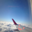 id:biyotaikensha
