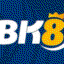 bk8vnchannel