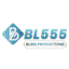 bl555productions